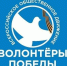 Телебашня в Костроме поздравит Всероссийское общественное движение «Волонтеры Победы» с 10-летием - Город Мантурово